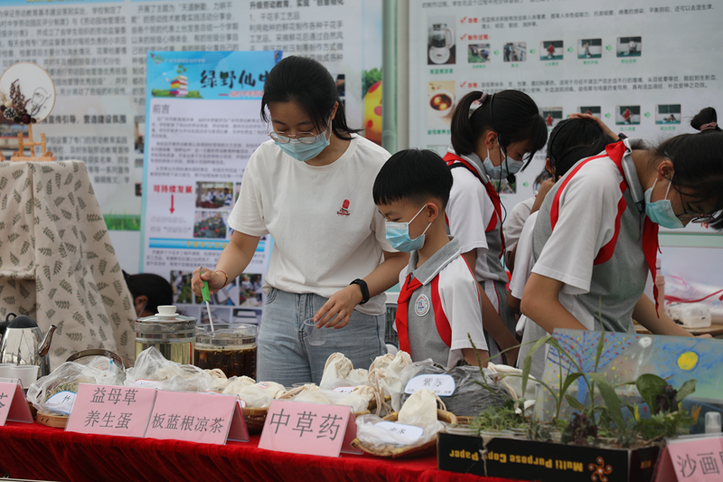 学生围绕中草药开展多种劳动实践活动.jpg