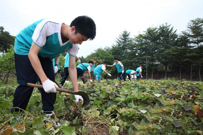 广州市第五中学学生在综合实践基地开展学农劳动实践活动.jpg