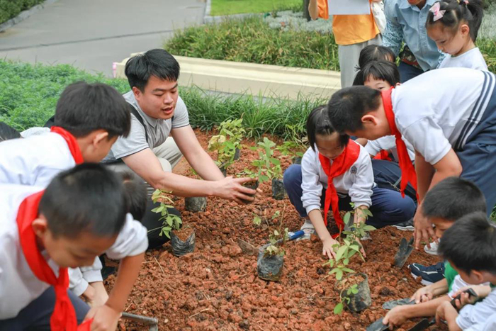 组织“中医药文化进校园”试点校的学生开展中草药种植劳动实践活动.jpg