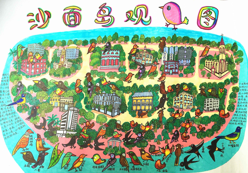 沙面小学学生调查绘制的沙面岛常见鸟类分布图.jpg
