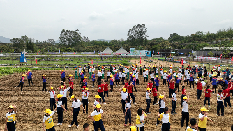 4.小学生组玉米种植接力赛竞赛现场.jpg