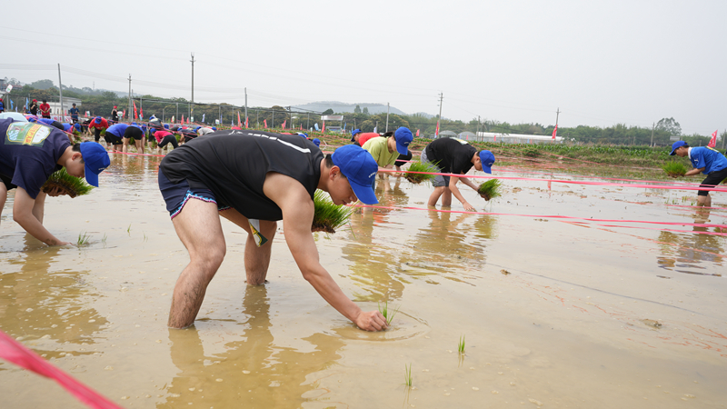 14.教师组竞赛现场.jpg